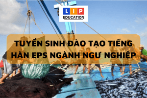 TUYEN SINH DAO TAO TIENG HAN EPS NGANH NGU NGHIEP 300x200 1