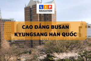 CAO DANG BUSAN KYUNGSANG 300x200 1